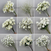 ��ɫϵ��c�������Ļ�Y�ñ����廨�Y��F��·���b�ˇ