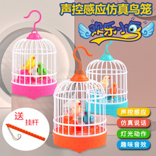 儿童鸟笼鸟叫声带灯光动作声控创意电动声控仿真地摊热卖批发玩具