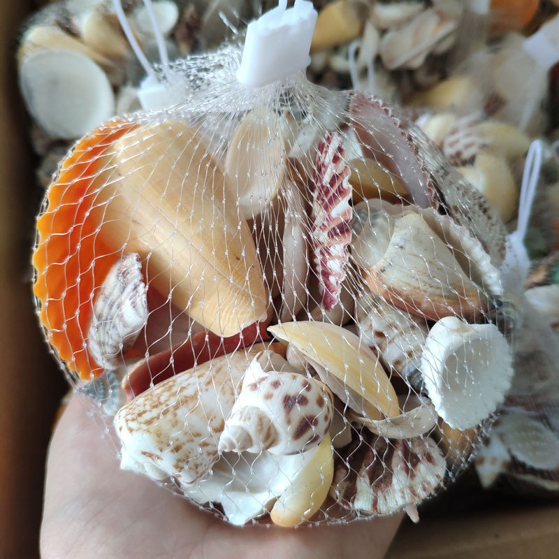 Bolsas de concha mixta concha acuario paisajismo pecera decoración accesorios de fotografía vieiras artesanales naturales