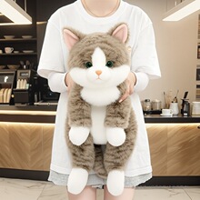 �ɰ�è��ë����߹�����ż���������ޱ���˯����˯��������Ů��