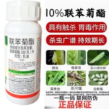 ������¡��10%���������x������С�����x�t֩�����С�G�~�s