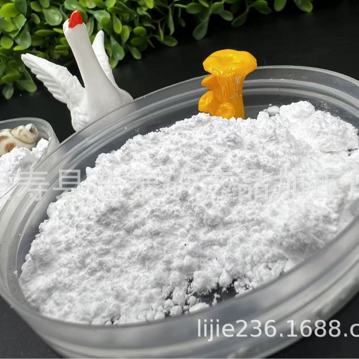 河北石家庄贝壳粉生产厂家  涂料/饲料用白色贝壳粉