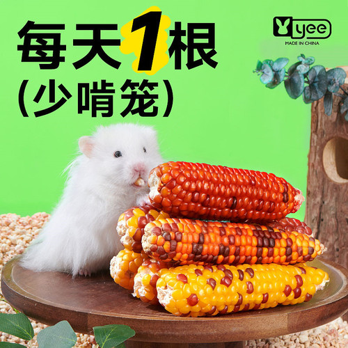 Hamster food molars, small corn grains, golden bears, chinchillas, guinea pig snacks, flowery branches, rat molar sticks, toys and supplies