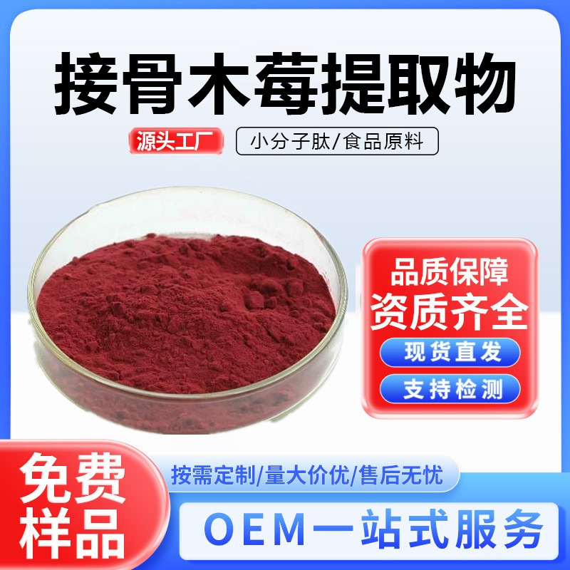 接骨木莓提取物多规格接骨木莓植物原粉比例提取原料厂家现货供应