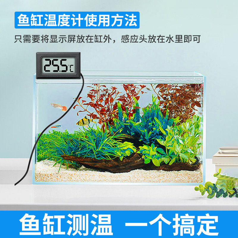 Electronic aquarium, highly precise thermometer, LCD display, with LED display