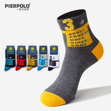 PIER POLO���_�������m�����Ͳ���������e���m �̽�����͸�����m