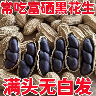 ���l����2025����؛�����ڻ�������Ϻڻ����������»��������Bθ