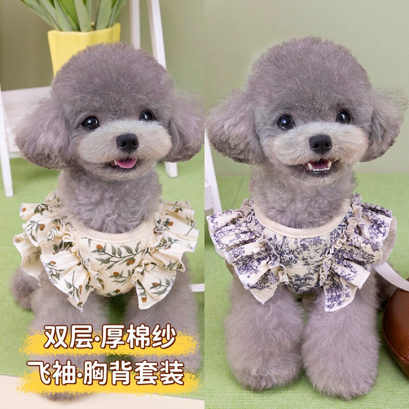 宠物服装小型犬狗衣服猫咪秋冬保暖舒适新款加厚棉纱胸背牵引套装|undefined