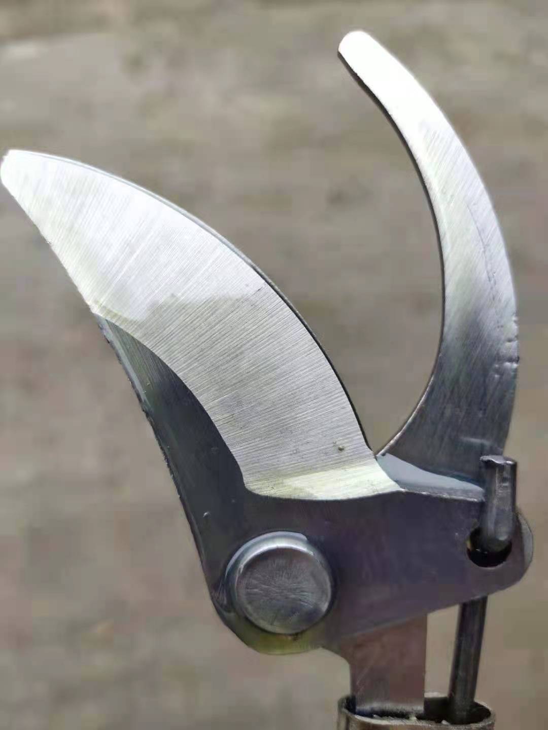 微信图片_20220321154424