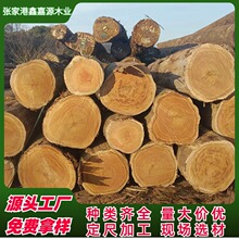 �SӲľ�Sđľԭľ �S��ľ��Ĺ����� ���B�ذ�ľ�� �@�֌�ľ