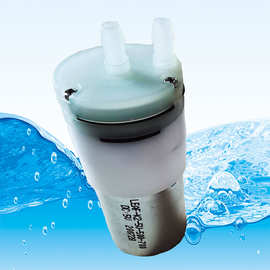 JKL-K2-12V-400-60 擦地机喷水直流隔膜泵图片 厂家直供