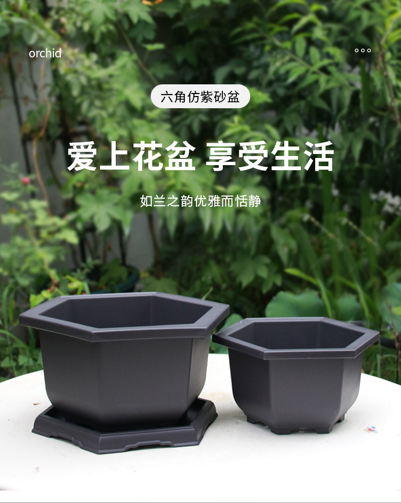六角兰花盆_01.jpg