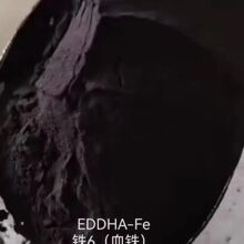 EDDHA-FE6FF~ʻܾGֲSS~~aF