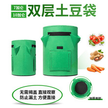 多功能种植袋4口草莓袋双门土豆袋花生西红柿无纺布植物阳台
