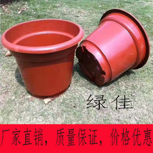 ���l���ϻ�����طNֲ������������N����GֲAB�͈A��߅�tɫ����