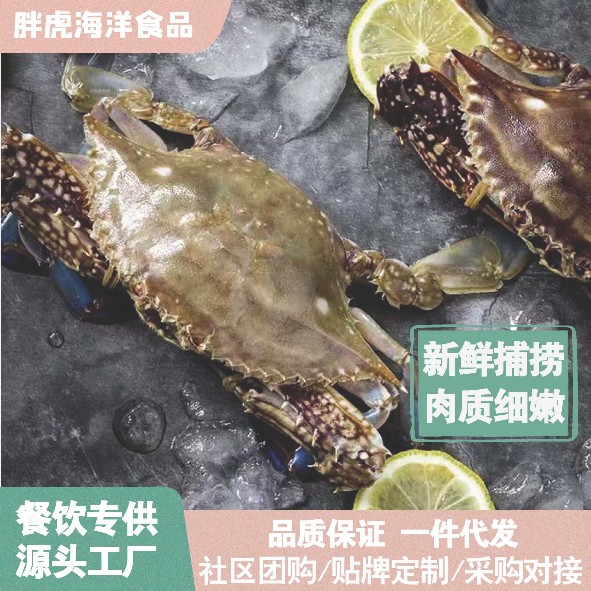 梭子蟹活冻野生鲜蟹冷冻大螃蟹飞蟹大肉蟹海螃蟹