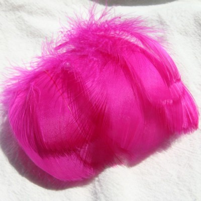 로즈 레드 (100 루트 배치)