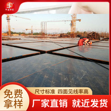 覆膜板 红色建筑清水模板桥梁工程高层房建项目使用6次以上
