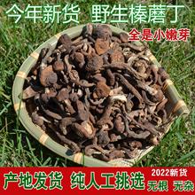 今年新货野生榛蘑丁500g包邮干货东北小鸡炖榛蘑菇无根香菇类