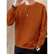 Z 89035 Men's Jacquard Crewneck Sweatshirt �Ứ���� �羳