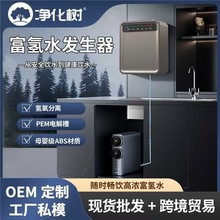 免安装RO反渗透富氢水机富氢水发生器高浓度制氢水机净饮机直饮机