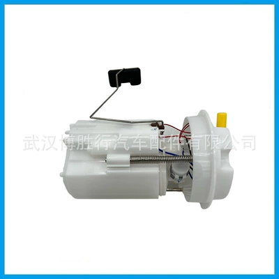 core F01R00S387 D5B19H307BB, Oil pump, nozzle