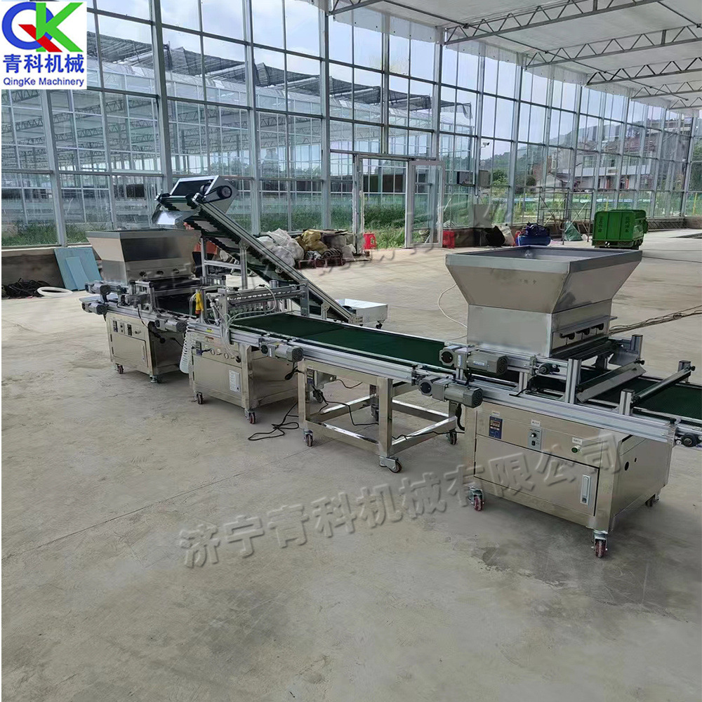 全自动穴盘育苗机  蔬菜水果育苗设备  铺土压穴播种一体机