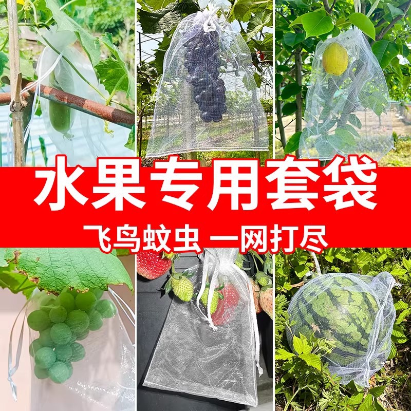 水果网套袋防虫防鸟纱网袋草莓套袋葡萄透气套袋无花果番石榴套袋