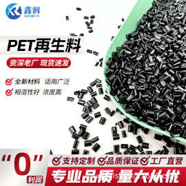 GRS欧盟环保 厂家直供再生PET颗粒 黑色PET再生料拉丝级PET颗粒