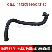 1192CN 9806242180�����ڱ���308 408ѩ����C4L 1.6T������ͨ���