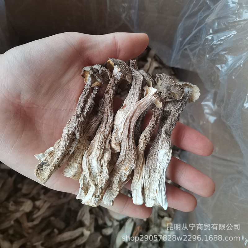Dried Deer Antler Mushroom 500g Premium Edible Fungus for Soup and Stir Fry key features