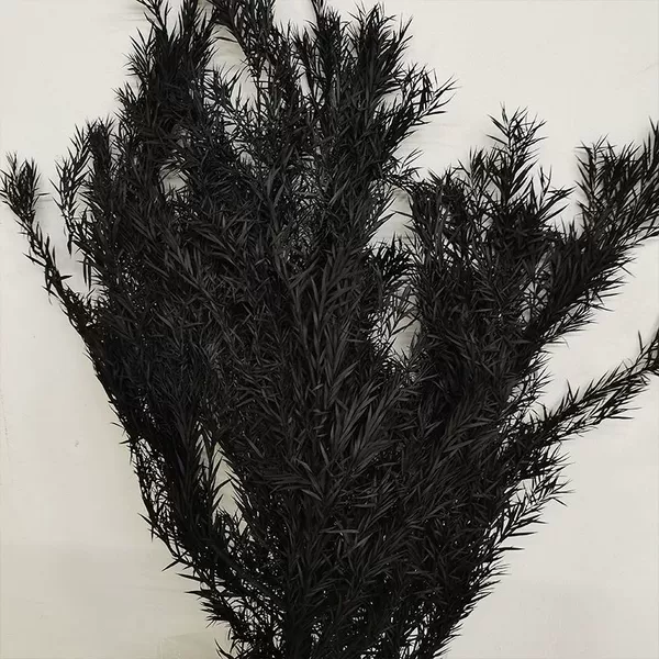 Blew black