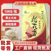 �������f������10kg/�� �|�����ִ���һ���������マ�|��������