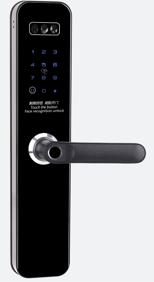 人脸识别指纹密码刷卡远程Lora联网智能门锁支持二次开发源头厂家