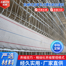 阶梯式加背负式喂料机捡蛋机全自动阶梯蛋鸡笼集蛋系统鸡笼