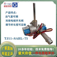 燃气电磁阀汤桶炉双保险调节阀TJ11-SAS/HL蒸汽炉24V调节气控制器