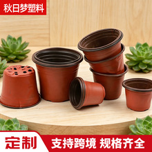 �����pɫ�����軨�ܻ�������һ����С����õ�����ϷNֲ�pɫ����