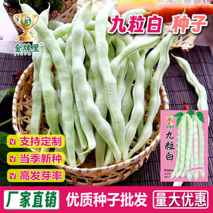 ժ����������ܿ���N���ρ��ٶ��ǷN�Ѯa���ļ��߲˷N�ݰײ��ϷN