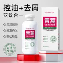 臻羞青蒿毛囊清洁洗发露去屑止痒柔顺护发控油蓬松洗发水一件起批