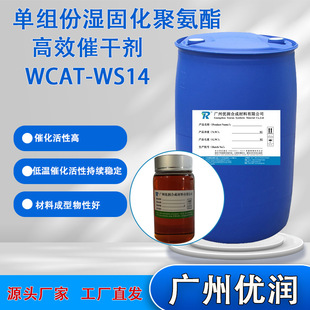 ���� �νM�ݝ�̻��۰�����Ч�߸Ʉ�WCAT-WS14 �͜ز�ʧ�� ���Ժ�