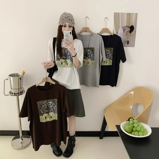�nϵ2026�紺�¿� ��⌍��~Ģ��ӡ������T��Ů���e�ٴ��@������