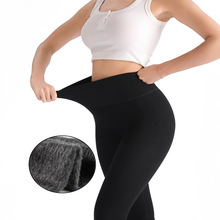 欧美黑色螺纹高弹高腰保暖拉毛无缝小脚莫代尔打底裤女加绒加厚