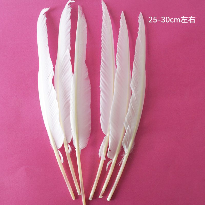 SKU-20-14号驼背 25-30cm白色5根.jpg