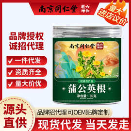 南京同仁堂炒制长白山蒲公英根大根手选泡茶泡水养生婆婆丁根茶