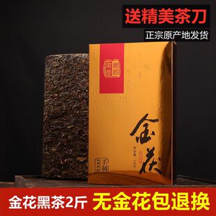 �Ͳ赶/�ڲ谲���������ϰ����ڲ����u�谲�A�ڲ�2���b�ڲ�