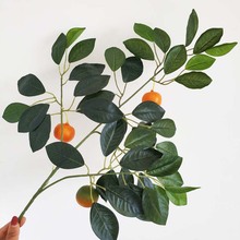 ������Ә��~��������~��֧���~�ָ��^�zһ֧�r���b�Q�[��