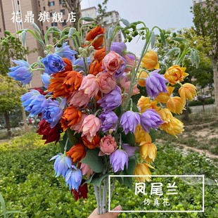 ��֦΢�⺣�� �Pβ�m�L� ��Y���Ų廨�b��û�ˇ������ꐽ���