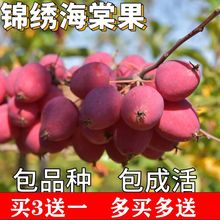 �\�����Ę����ϱ���ͥԺ�����ش��u�Ĺ������Լ޽�С�O������Y��