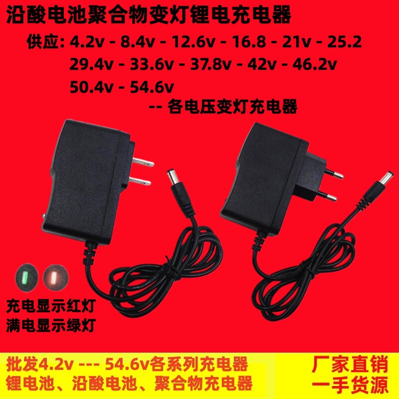 4.2V8.4V12.6V16.8V21V25.2V Toothbrush Flashlight Speaker Drill Angle Grinder Printer Sweeper Charger