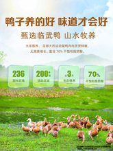 ˴�A��Ş��䵪�u������ζ�R���������خa�����ʳ�k�������eС��